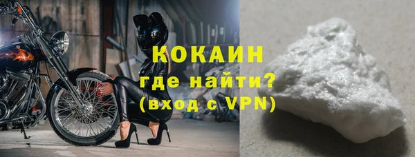шишки Белокуриха