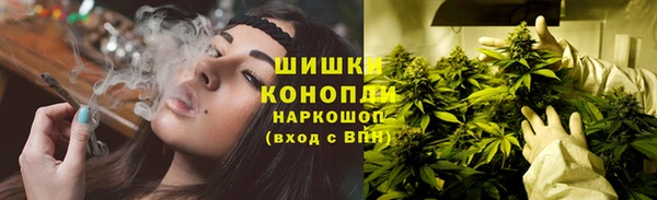 шишки Белокуриха