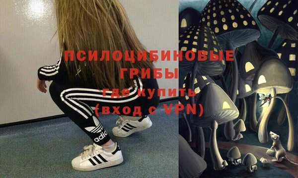 шишки Белокуриха