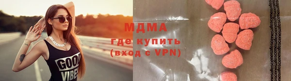 шишки Белокуриха