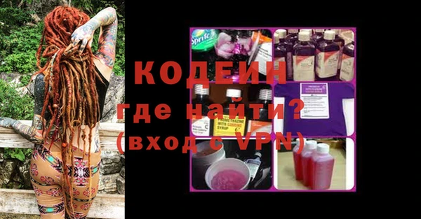 шишки Белокуриха