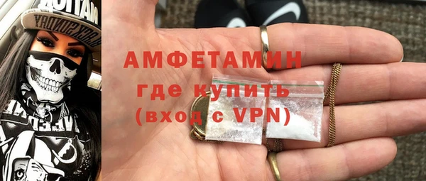 шишки Белокуриха
