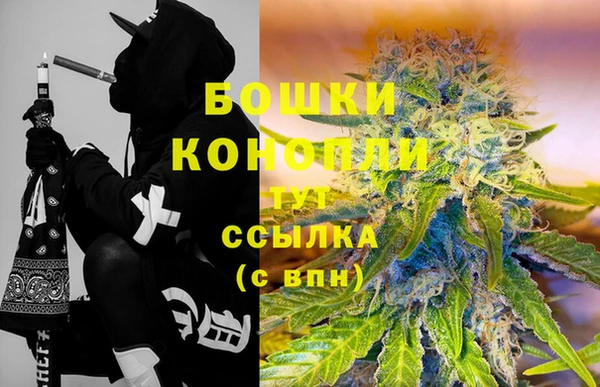 шишки Белокуриха