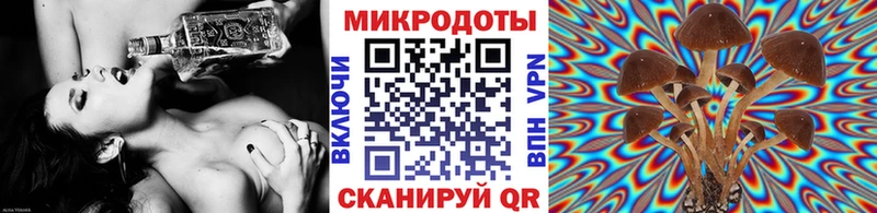 Псилоцибиновые грибы прущие грибы  ссылка на мегу рабочий сайт  Славгород  закладки 