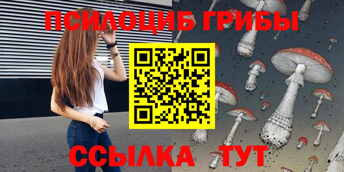 Славгород  Галлюциногенные грибы Magic Shrooms  Вход с VPN 